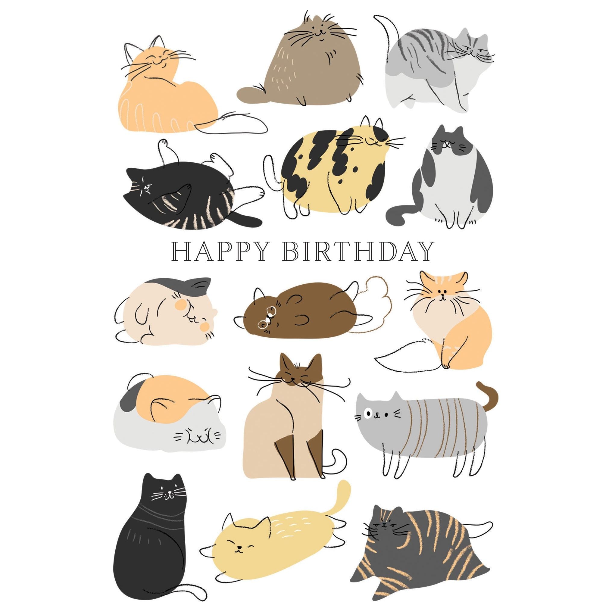 Kittens Birthday Card