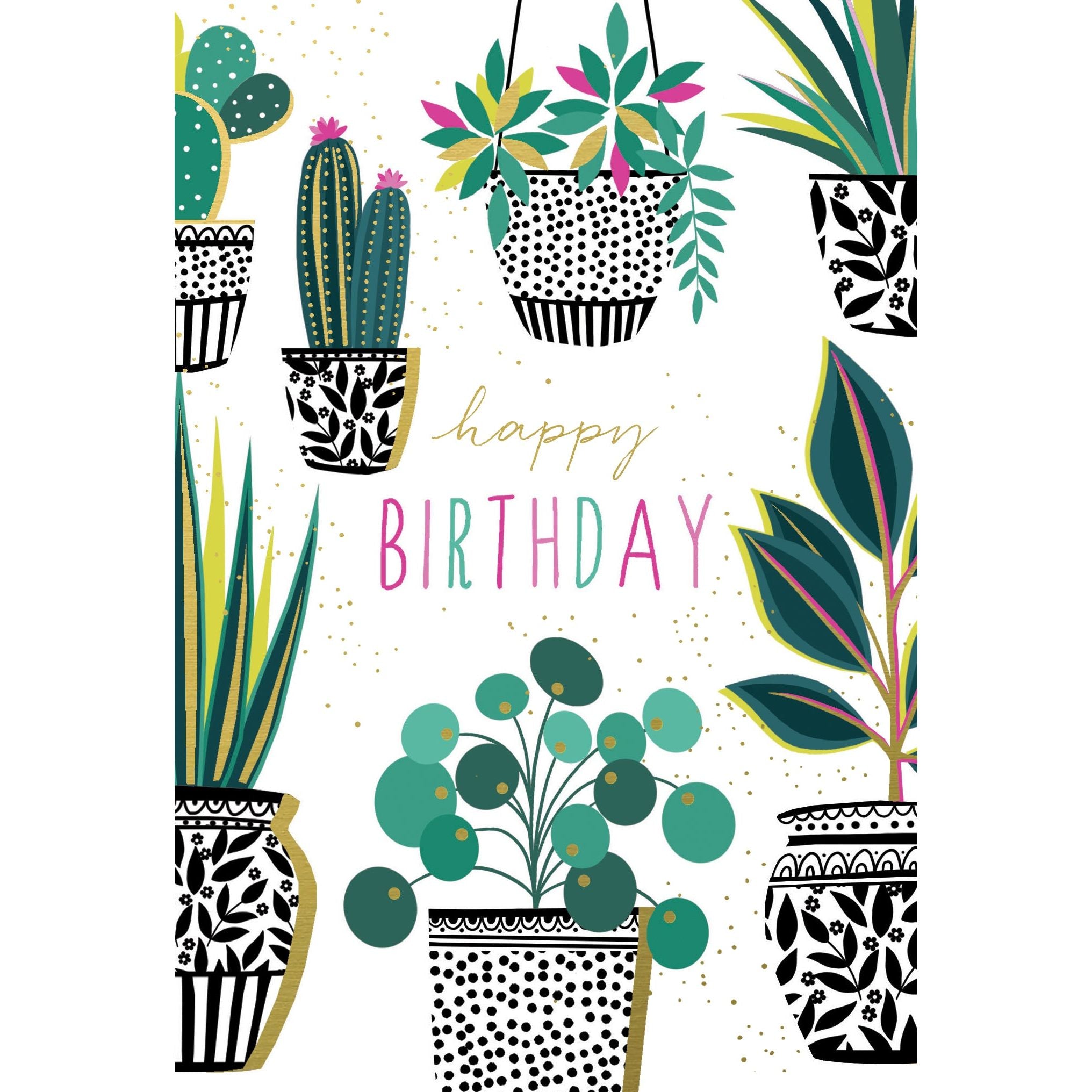 Cactus Plants Birthday Card Sara Miller