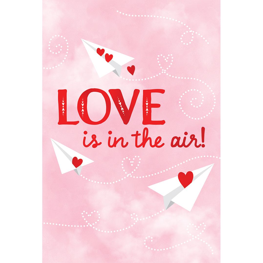 Paper Planes Valentine's Day Card Someone Special