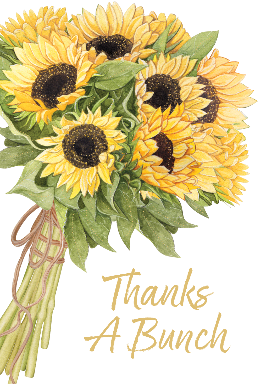 Bunches Of Sunflowers Boxed Thank You Notes