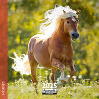 Horses Wall Calendar 2025 Aquarupella