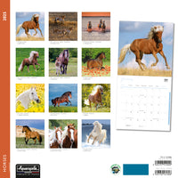 Horses Wall Calendar 2025 Aquarupella