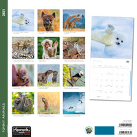 Funny Animals Wall Calendar 2025 Aquarupella