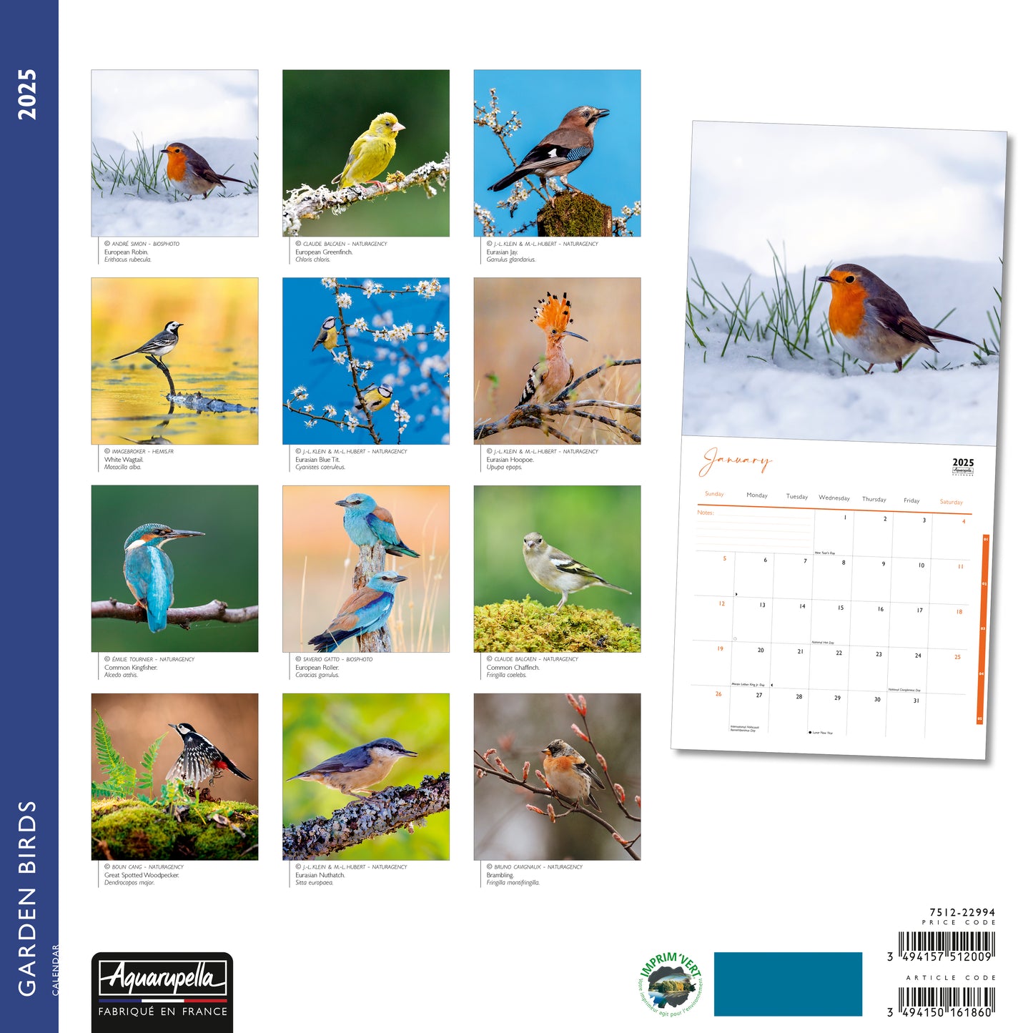 Garden Birds Wall Calendar 2025 Aquarupella