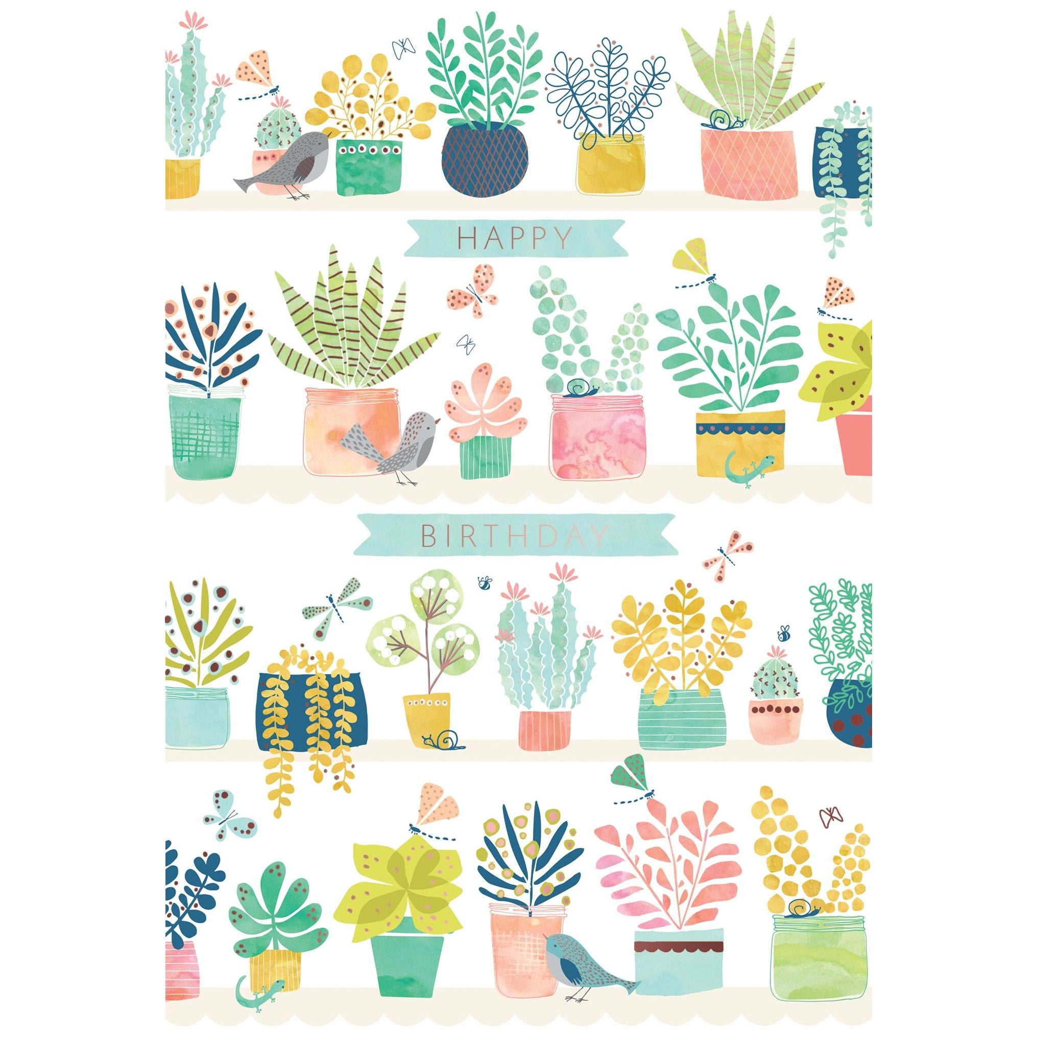 Garden Of Planters Birthday Card - Cardmore