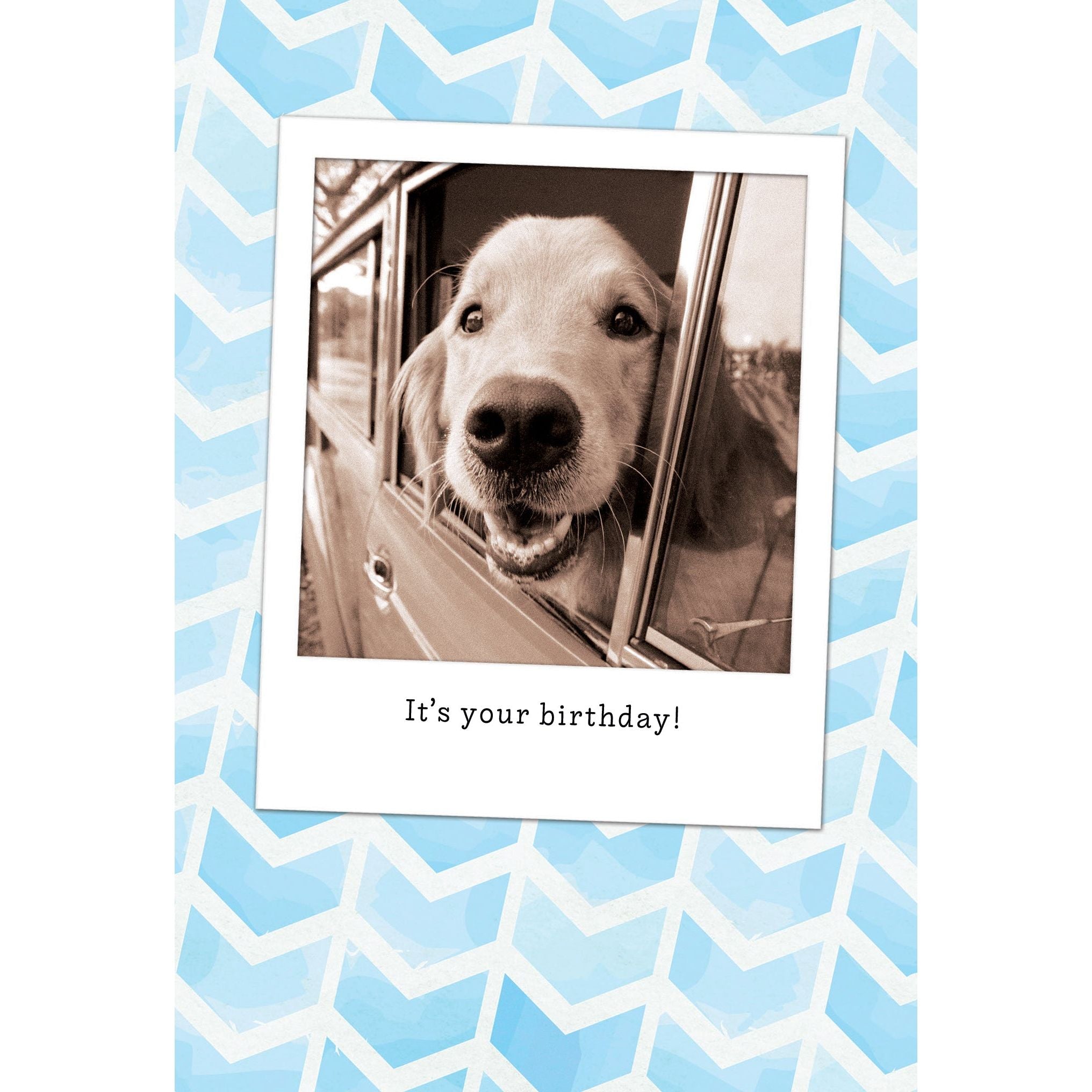 Dog in Car Birthday Card - Cardmore