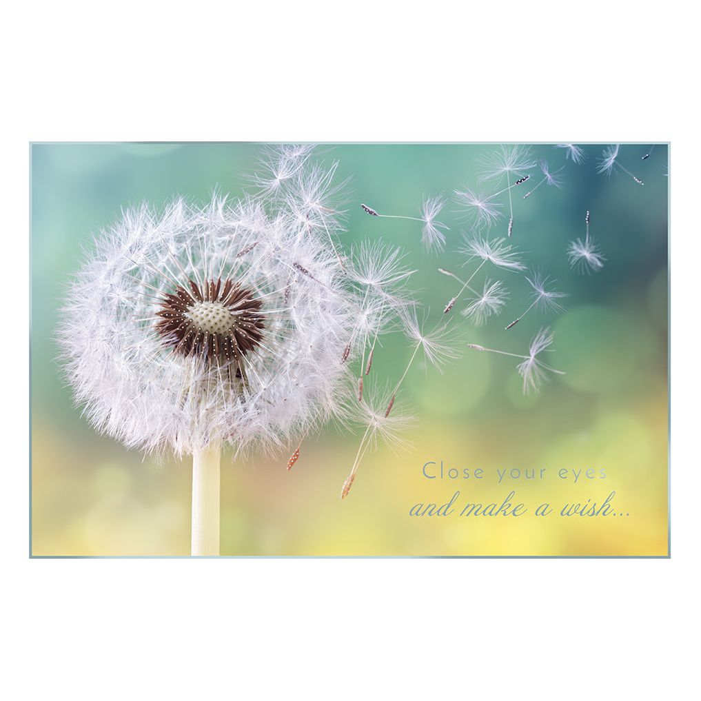 Dandelion Blowing Birthday Card