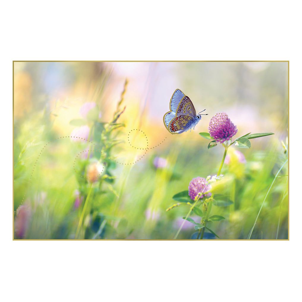 Butterfly Landing On Flower Birthday Card