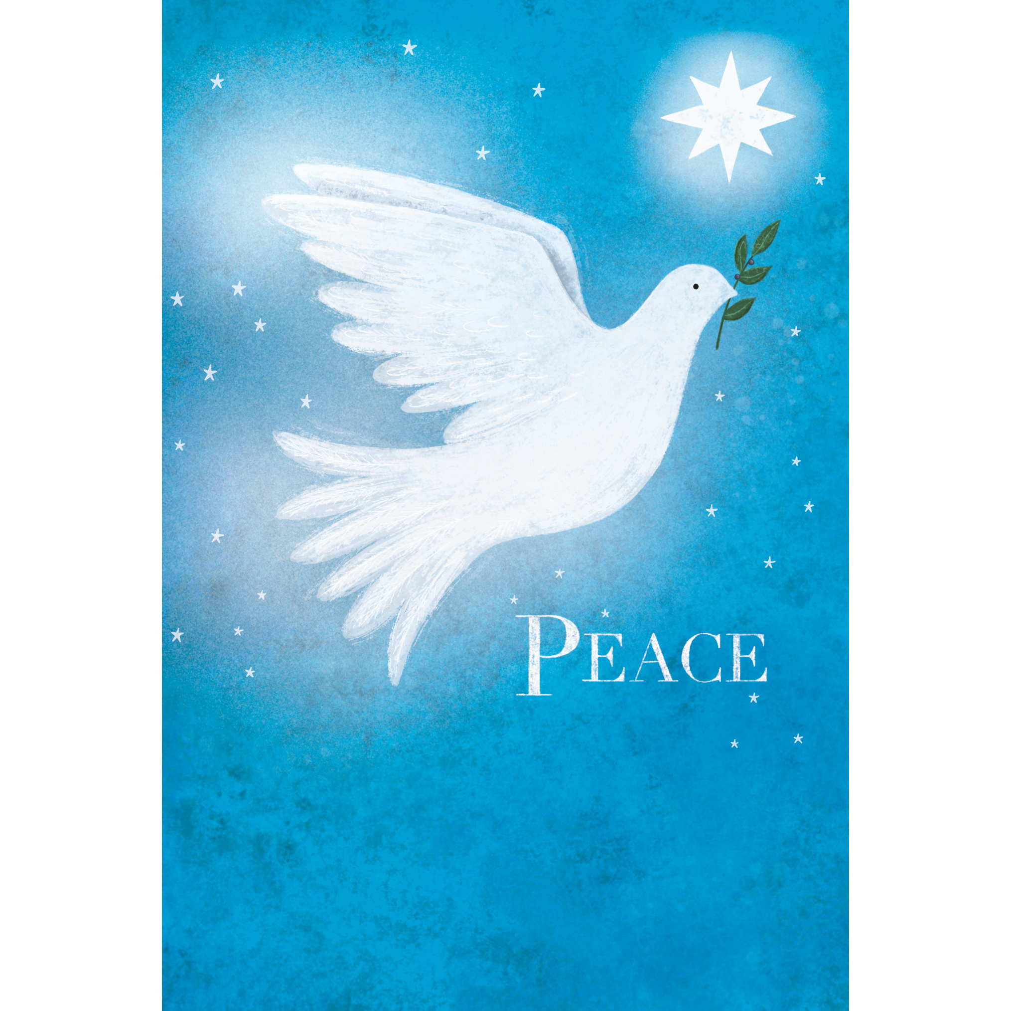 Peaceful Night Dove Holiday Card